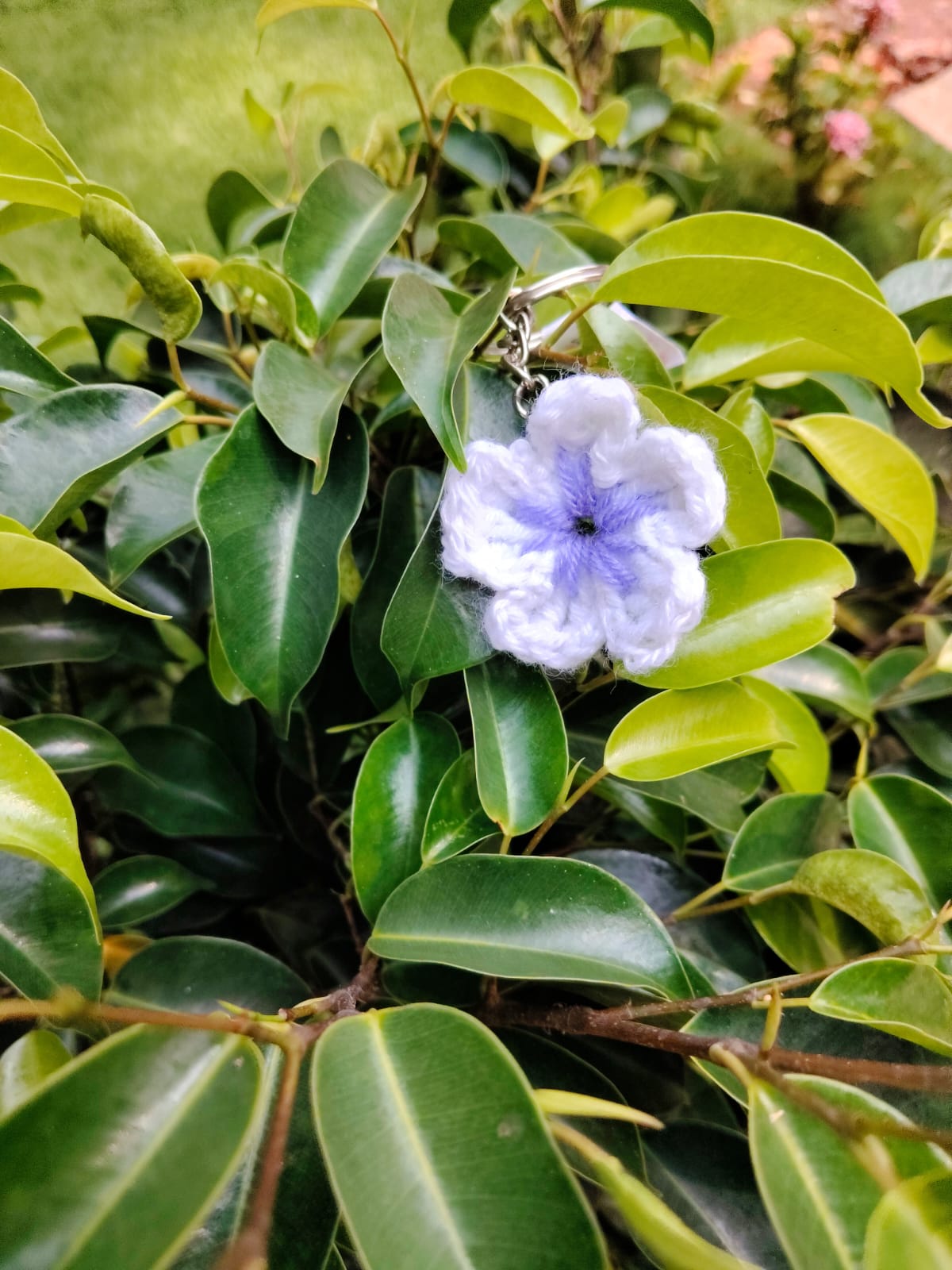 spring collection - Image 2
